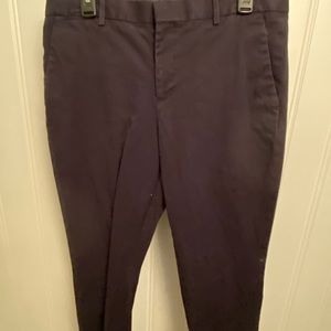 Express Dress Pants